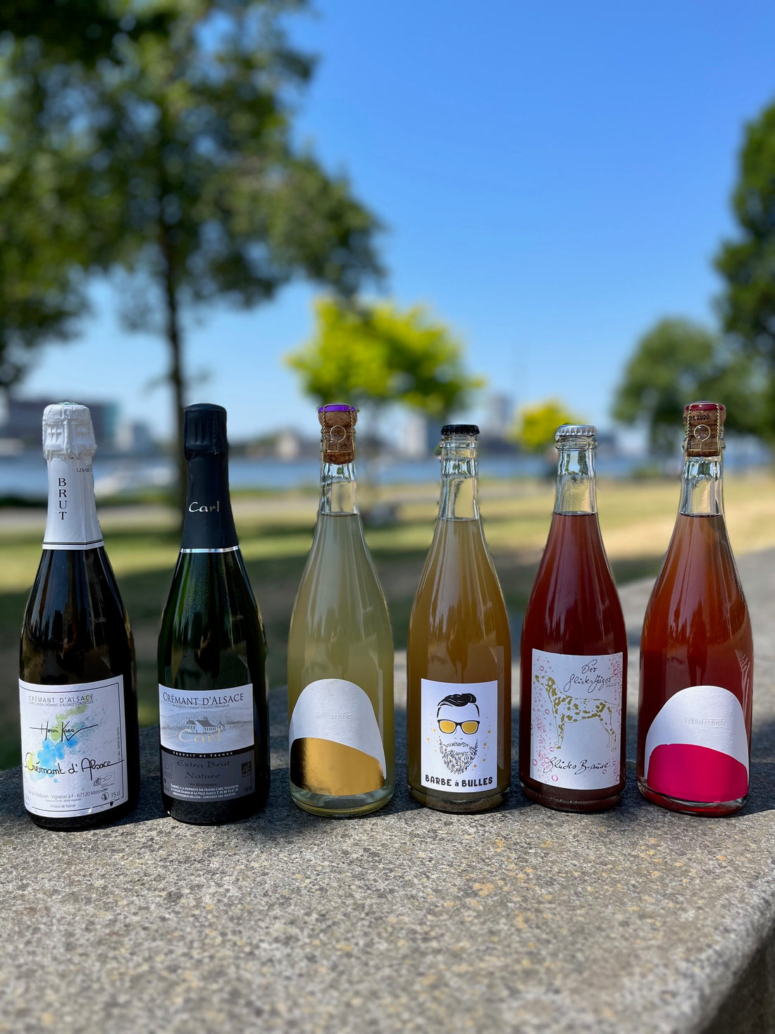 Sparkling Summer 6-Pack